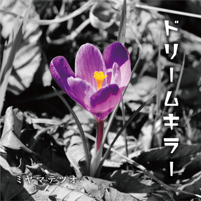 ドリームキラーのジャケット写真