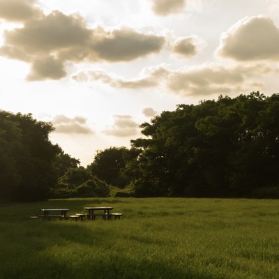 souのジャケット写真