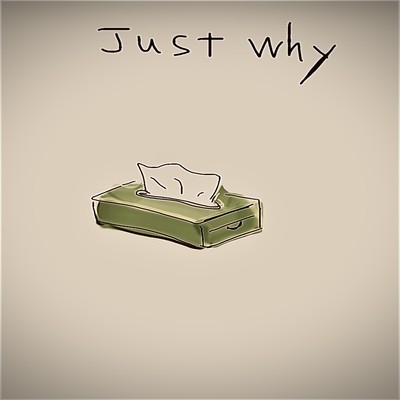 Just why Front Cover