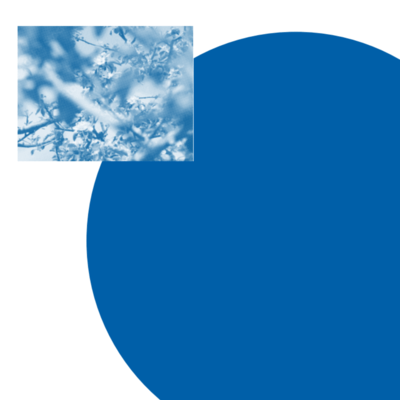 アオイリンゴのジャケット写真