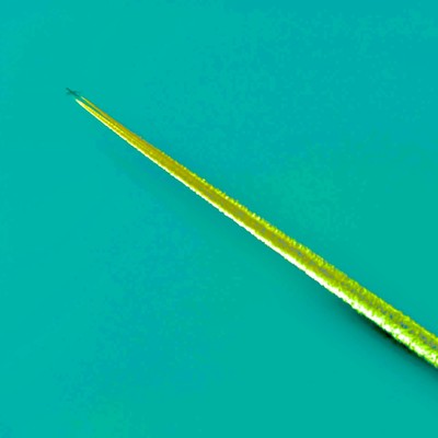 Yoru Wo Matenai Front Cover