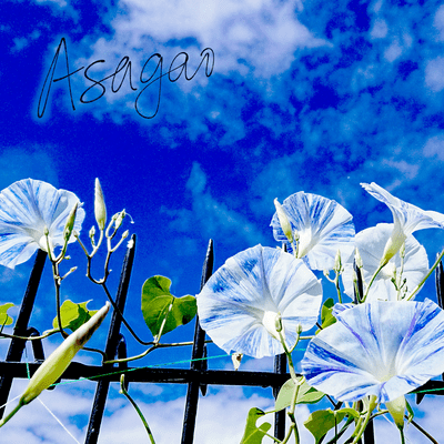 アサガオ (feat. Xeno)のジャケット写真