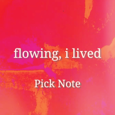 flowing, i lived Front Cover