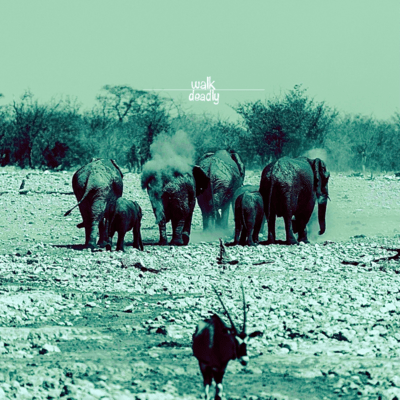 walk deadly Front Cover