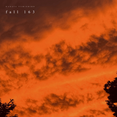 fall 163のジャケット写真
