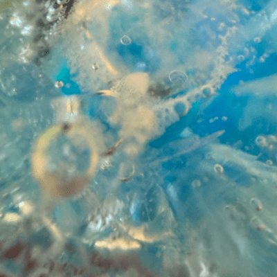 ヤングマインドのジャケット写真