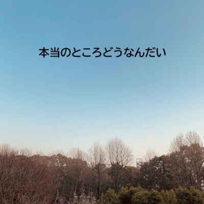 本当のところどうなんだいのジャケット写真