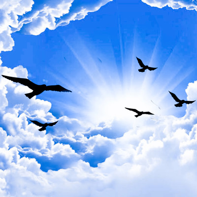 Fly Away Front Cover