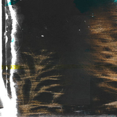 Cold Days Front Cover