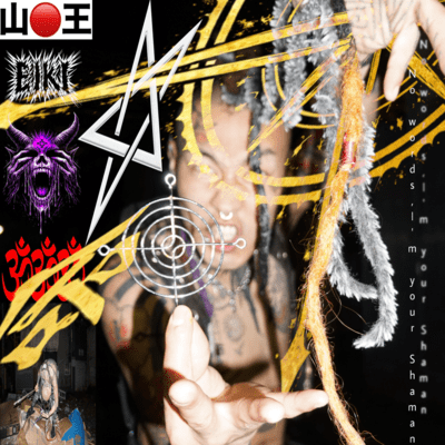 No words, I'm your Shaman Front Cover