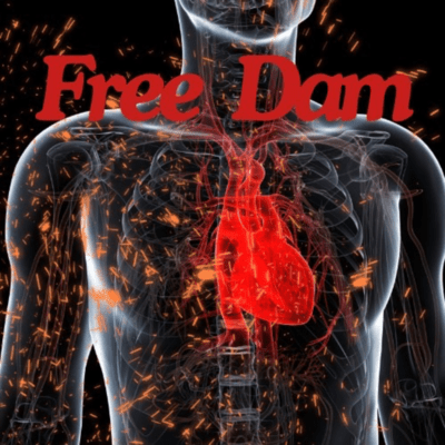Free Dam Front Cover