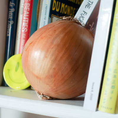 PaRappa the Gabber Front Cover