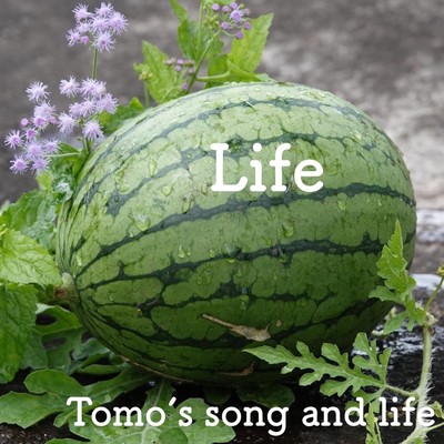 Life Front Cover
