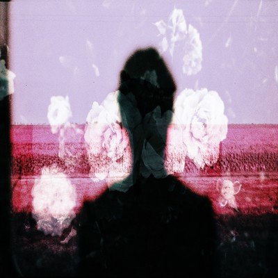 I'm sorry Front Cover