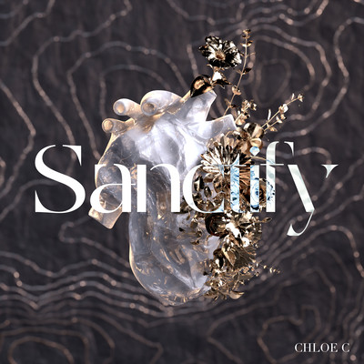 Sanctify Front Cover