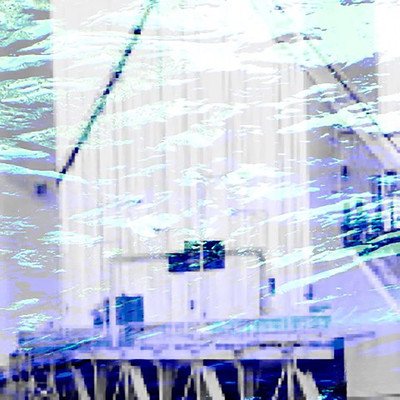 she always looks so confusedのジャケット写真