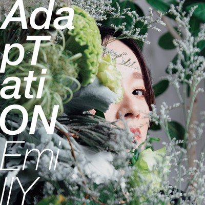 Adaptation Front Cover