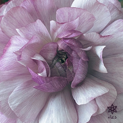 FRAGMENT of PRAYER <1> Front Cover