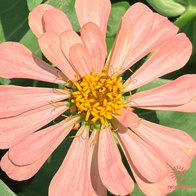 FRAGMENT of PRAYER <4> - The Warmth of Morning Front Cover