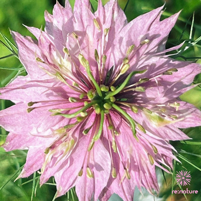 FRAGMENT of PRAYER 《5》- umiのジャケット写真