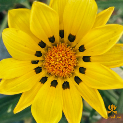 Fragment of Prayer 《6》- Breezes of 26のジャケット写真