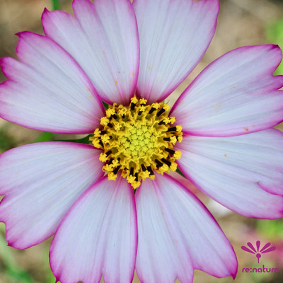 FRAGMENT of PRAYER 《9》- Floatのジャケット写真