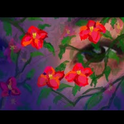 ツバキのジャケット写真