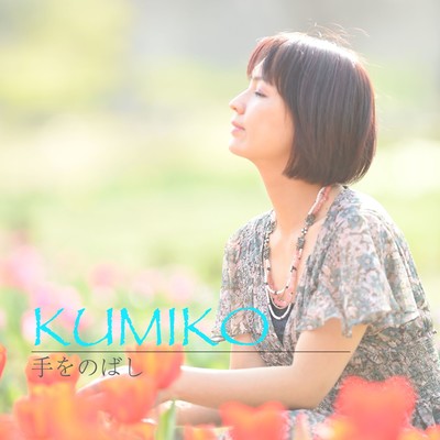 tewonobashi Front Cover