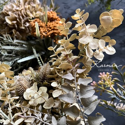 CATHARSIS Front Cover