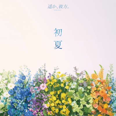 初夏のジャケット写真