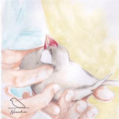 ケツようび☆モフようび (2025 Remastered)のジャケット写真