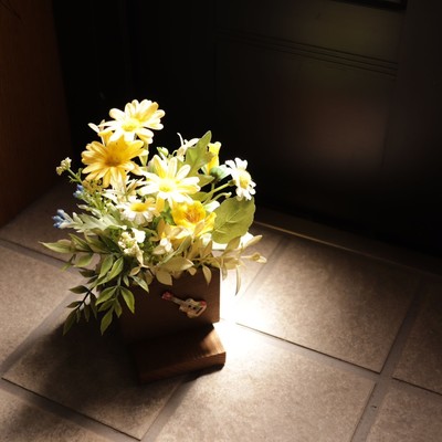 tatoebane Front Cover