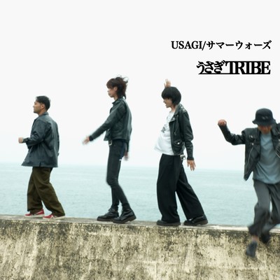 USAGI / サマーウォーズのジャケット写真
