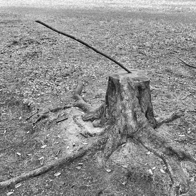 Sculpture Insideのジャケット写真