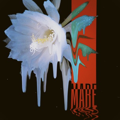 MARE Front Cover