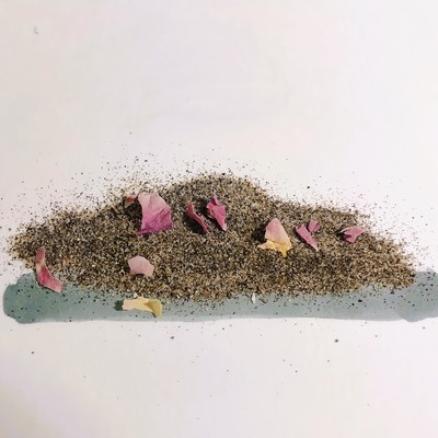 誰かのひかりのジャケット写真