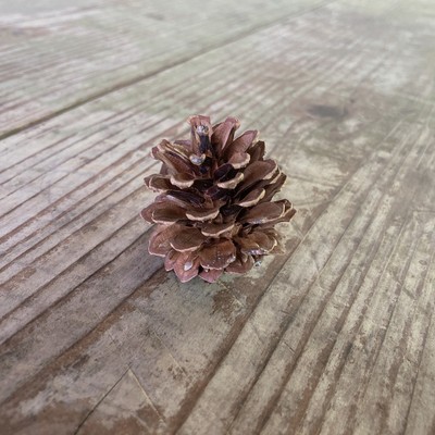 うざったいから消したののジャケット写真