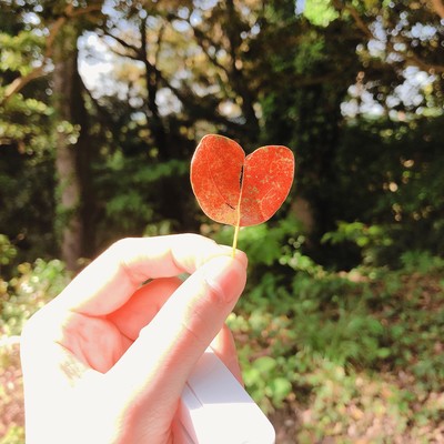 急いで急いできたけれど (feat. 知声 & さとうささら)のジャケット写真