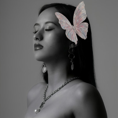 Butterfly Front Cover