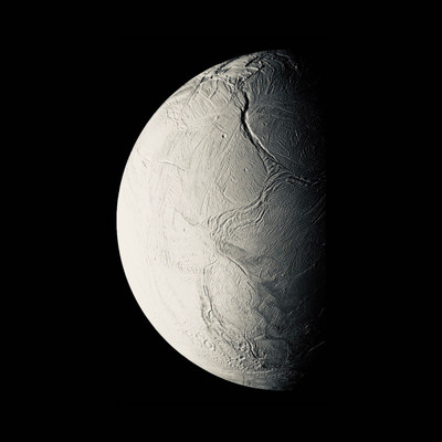 IYLMのジャケット写真