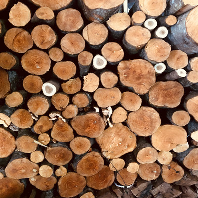 Good Morning !n Love Front Cover