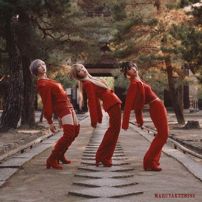 MARUTAKEEBISU (Rearranged Album) Front Cover
