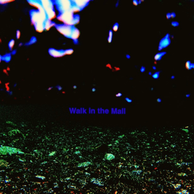 Walk in the Mall Front Cover