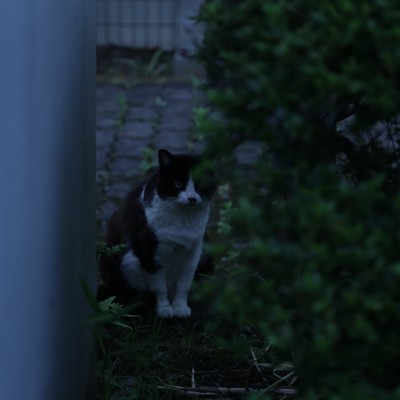 Secure Placeのジャケット写真