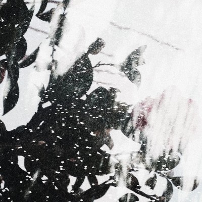 うつりかわりのジャケット写真