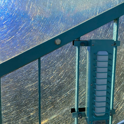 アゲラタムのジャケット写真