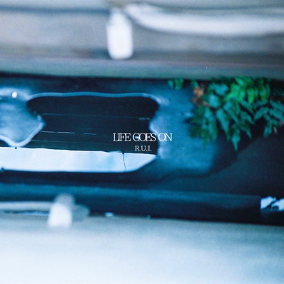 LIFE GOES ON Front Cover