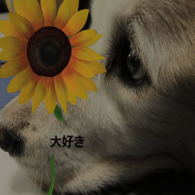 大好きのジャケット写真