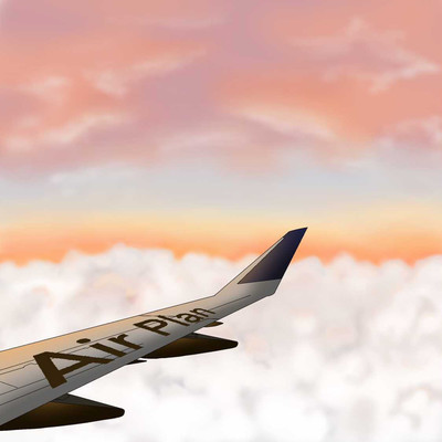 Air Plan (feat. Z MOTHER FUCKER) Front Cover