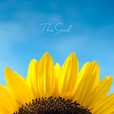 The Seedのジャケット写真